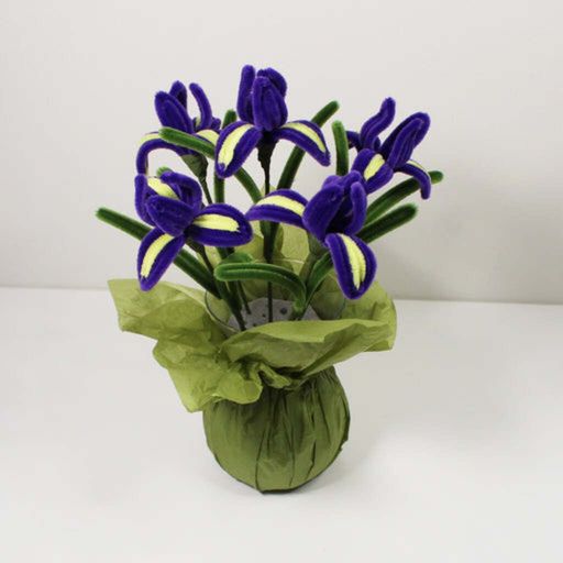 Iris (kosatec)