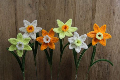 Narcis