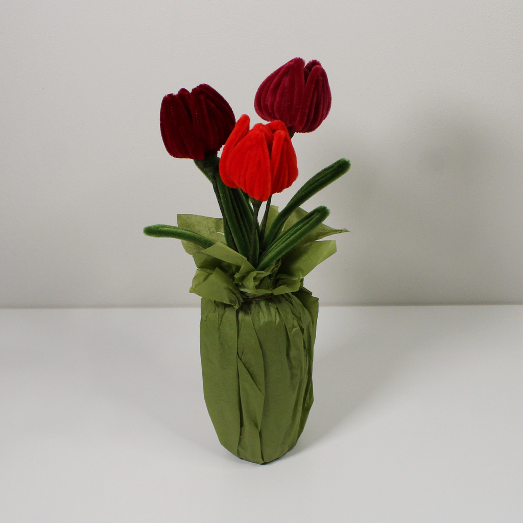 Obrázek produktu tulipan-cerveny-mix